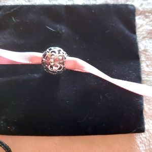 Pandora brand charm